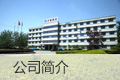 公司簡(jiǎn)介